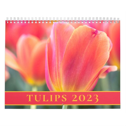 Calendrier Tulips Photographie 2023 (Protection)