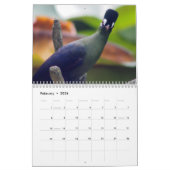 Calendrier Turaco Bird 2025 (Feb 2026)