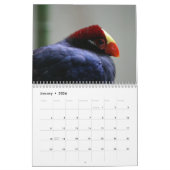 Calendrier Turaco Bird 2025 (Jan 2026)