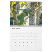 Calendrier Turaco Bird 2025 (Mar 2027)
