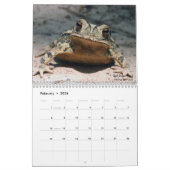 Calendrier Twelve Months of Toads: 2022 Calendar (Feb 2026)