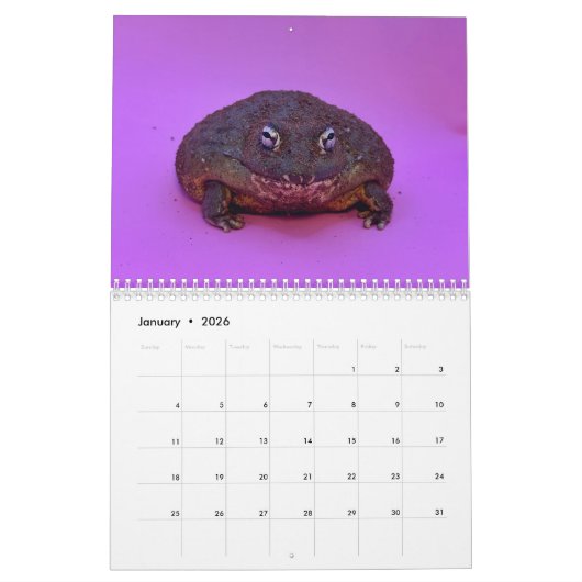 Calendrier Two Green Frogs' 2026 Calendar (Jan 2026)