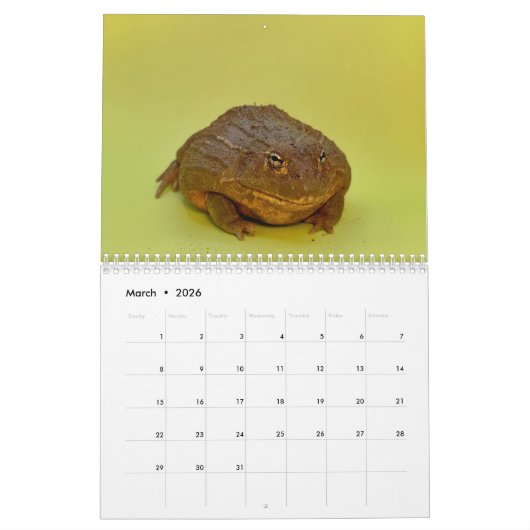 Calendrier Two Green Frogs' 2026 Calendar (Mar 2026)