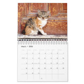 Calendrier Un An De Mignonne Kitten Photographie (Mar 2026)