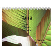 Calendrier Un illustré de fleur (Protection)