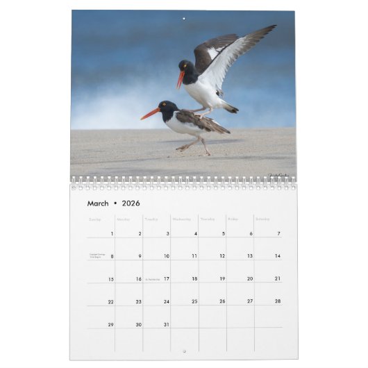 Calendrier Un Potpourri Avian 2025 (Mar 2026)