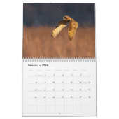 Calendrier Un Potpourri Avian 2025 (Feb 2026)