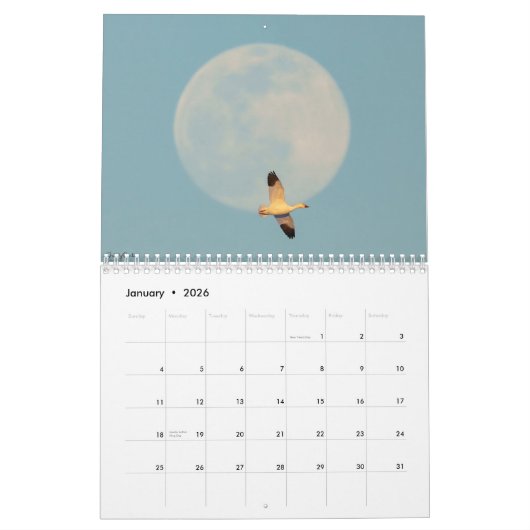 Calendrier Un Potpourri Avian 2025 (Jan 2026)