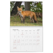 Calendrier Un Renard Nommé Dot. (Feb 2027)