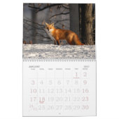 Calendrier Un Renard Nommé Dot. (Jan 2027)