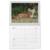 Calendrier Un Renard Nommé Dot. (Mar 2027)
