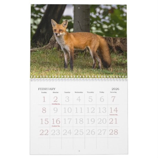 Calendrier Un Renard Nommé Dot. (Feb 2026)