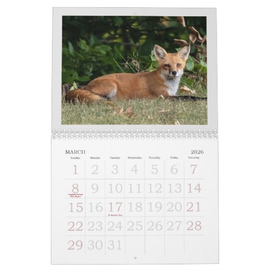 Calendrier Un Renard Nommé Dot. (Mar 2026)