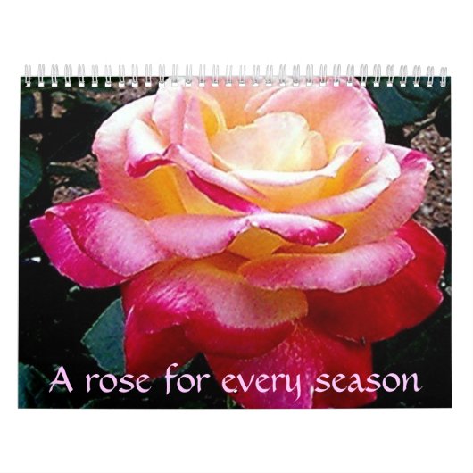 Calendrier Un rose pour chaque saison (Protection)