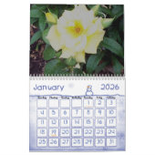 Calendrier Un rose pour chaque saison (Jan 2026)