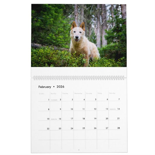 Calendrier Une année avec Matilda :Calendrier 2020 (Feb 2026)