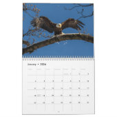 Calendrier Une Année D'Aigles Baltes (Jan 2026)