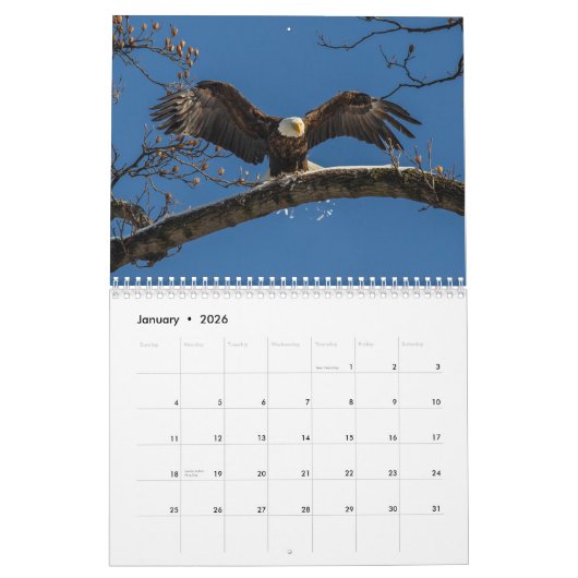 Calendrier Une Année D'Aigles Baltes (Jan 2026)