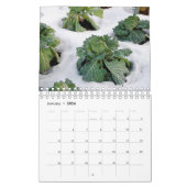 Calendrier Une année dans le jardin organique (Jan 2026)