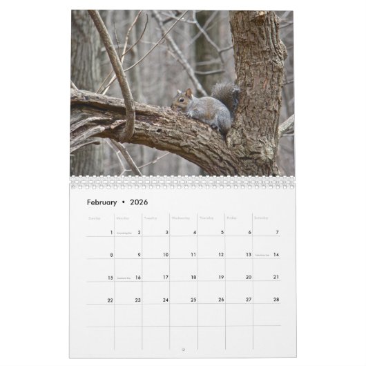 Calendrier - Une année dans les bois (Feb 2026)