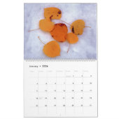 Calendrier "Une année de couleurs d'automne" (Jan 2026)