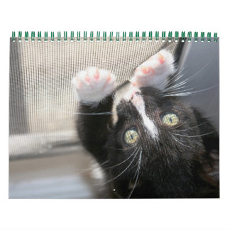 Calendrier Une année de fuzzybutts