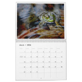 Calendrier Une année de grenouilles 2 (Mar 2026)