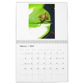 Calendrier Une année de grenouilles 2 (Feb 2026)