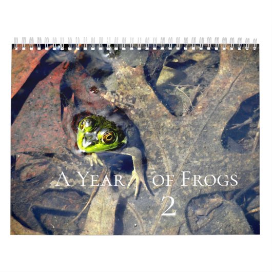 Calendrier Une année de grenouilles 2 (Protection)