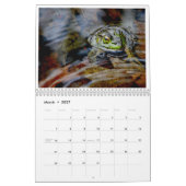 Calendrier Une année de grenouilles 2 (Mar 2027)