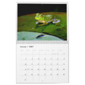 Calendrier Une année de grenouilles 2 (Jan 2027)