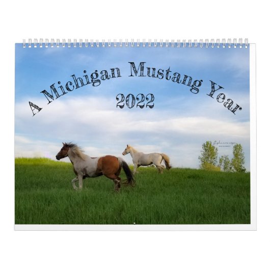 Calendrier Une année de Mustang dans le Michigan (Protection)