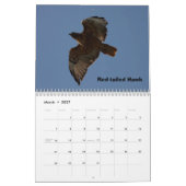 Calendrier Une année de Raptors (Mar 2027)