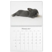 Calendrier Une année de Rupert (Feb 2027)