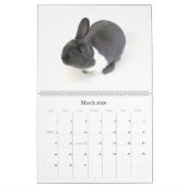 Calendrier Une année de Rupert (Mar 2026)