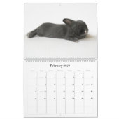 Calendrier Une année de Rupert (Feb 2026)