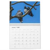 Calendrier Une année de vautours noirs et turcs (Jan 2027)