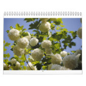 Calendrier une année des fleurs (Protection)