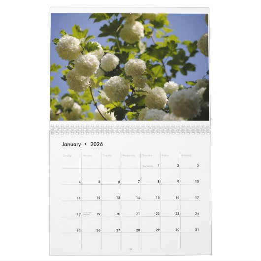 Calendrier une année des fleurs (Jan 2026)
