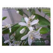 Calendrier Une année des fleurs (Protection)