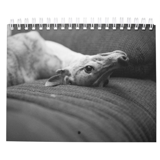 Calendrier Une année pendant la vie d'Enzo (Dos)