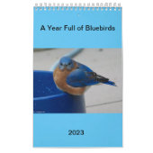 Calendrier Une année pleine de bleuets (Protection)