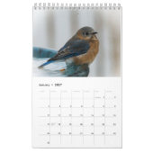 Calendrier Une année pleine de bleuets (Jan 2027)