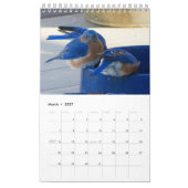 Calendrier Une année pleine de bleuets (Mar 2027)