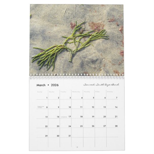 Calendrier Une année sur Cape Cod : dreamflower 2025 (Mar 2026)