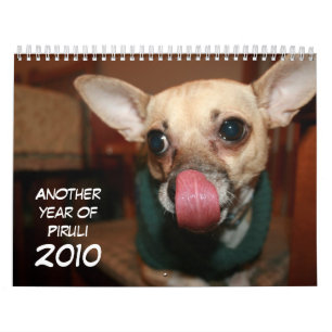 Calendrier Une autre année de Piruli - 2010