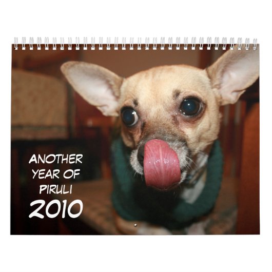 Calendrier Une autre année de Piruli - 2010 (Protection)