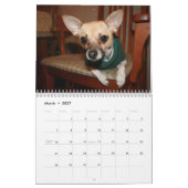 Calendrier Une autre année de Piruli - 2010 (Mar 2027)