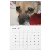 Calendrier Une autre année de Piruli - 2010 (Jan 2027)
