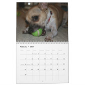 Calendrier Une autre année de Piruli - 2010 (Feb 2027)